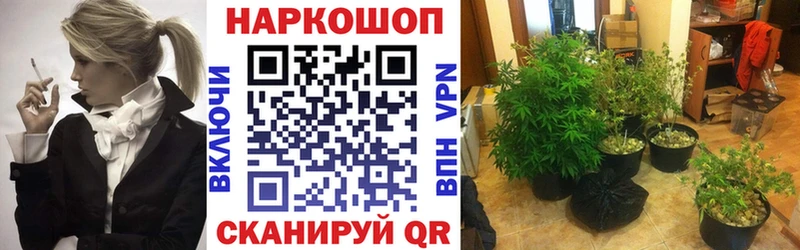 Канабис Дербент