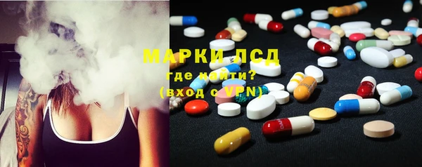 apvp Ельня