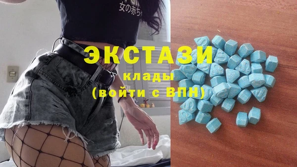 apvp Ельня