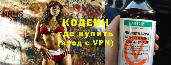 apvp Ельня