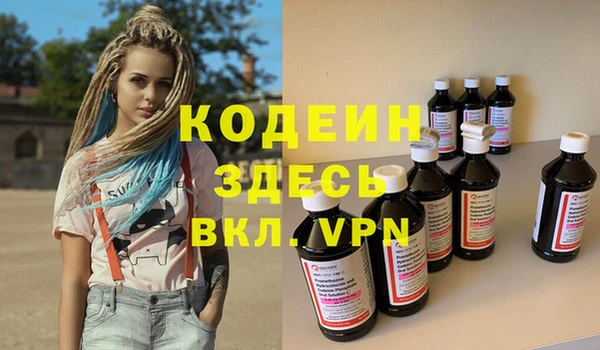 apvp Ельня