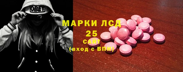 apvp Ельня
