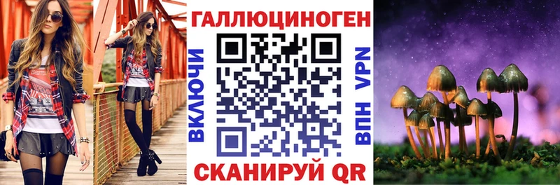 Галлюциногенные грибы Psilocybe mega ONION Дербент
